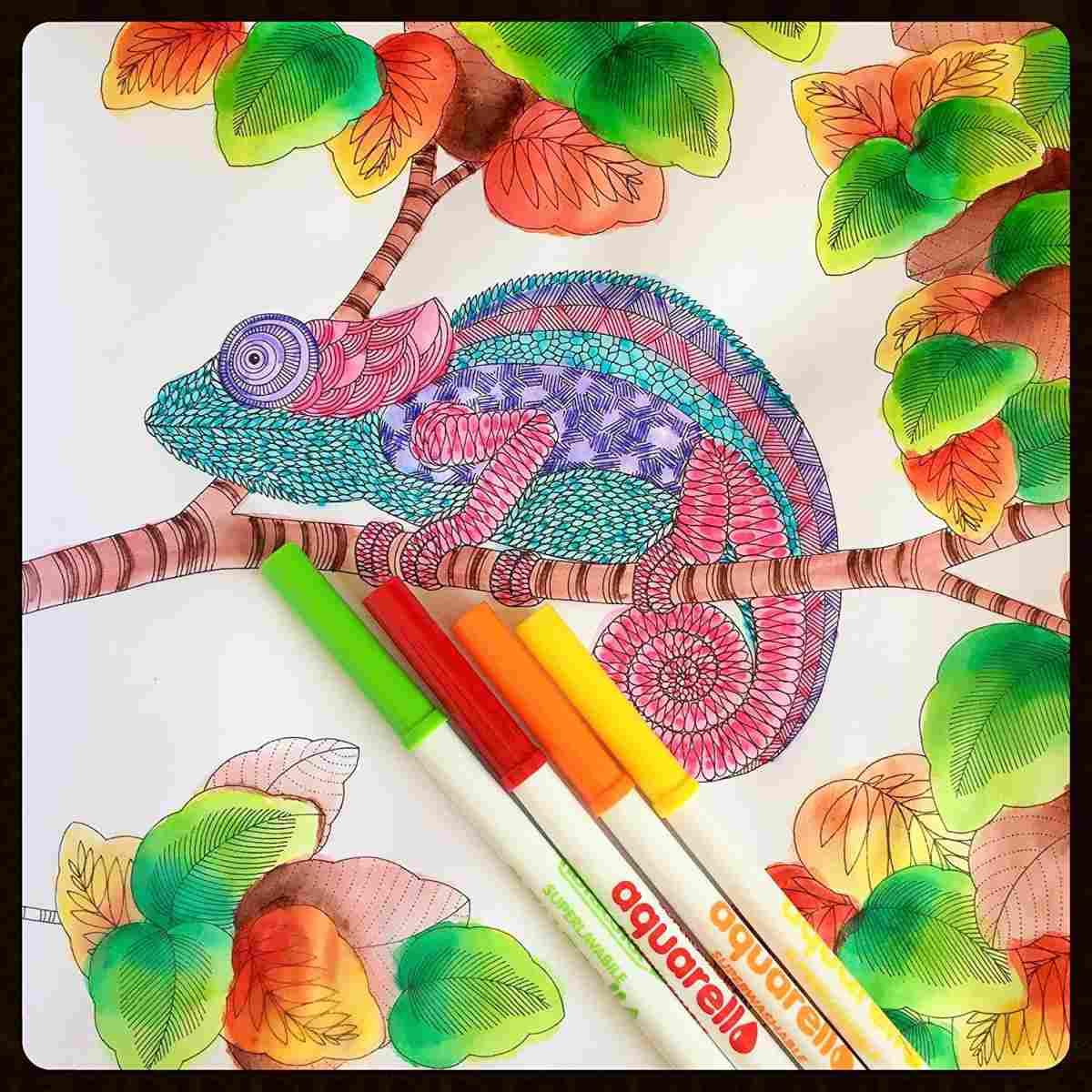 Fibracolor aquarello - pennarelli acquarellabili - punta pennello - scatola da 12 colori