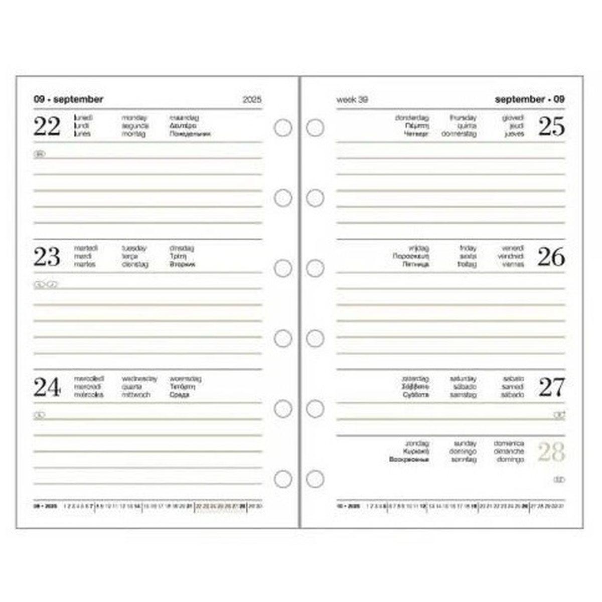 Ricambio organizer settimanale - 6 foti - 9,5 x 17 cm