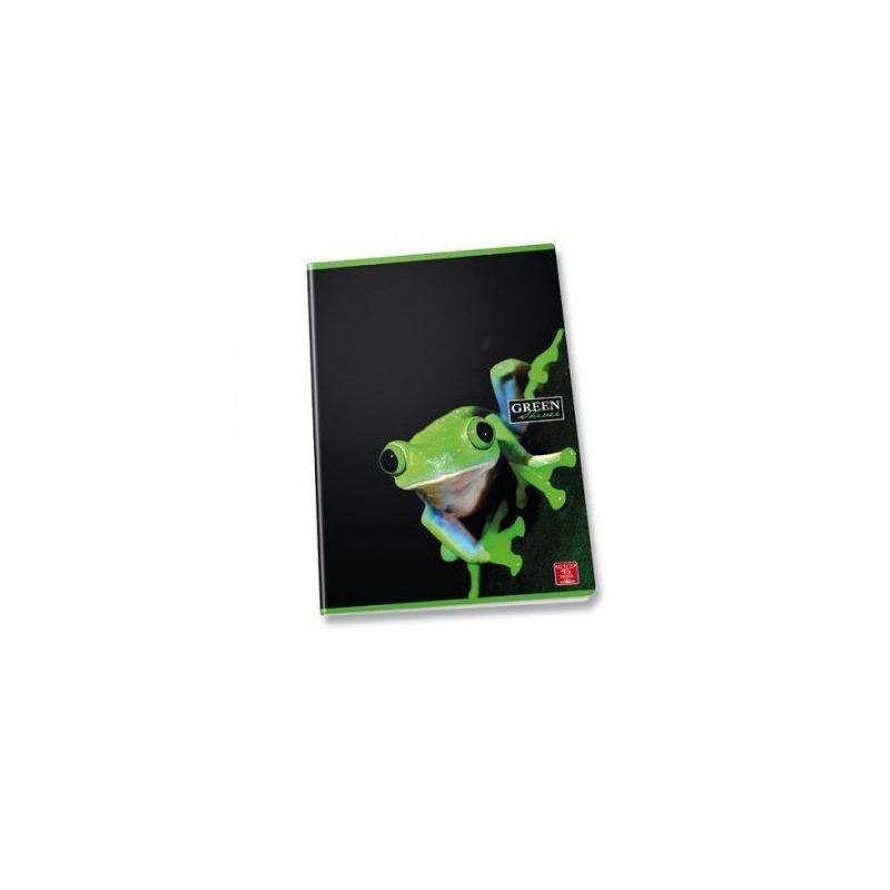 Pigna - maxi quaderno a4 green shiver - 50 ff/sh - carta 100 gr